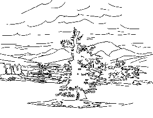 Caspar David Friedrich, einsamer Baum